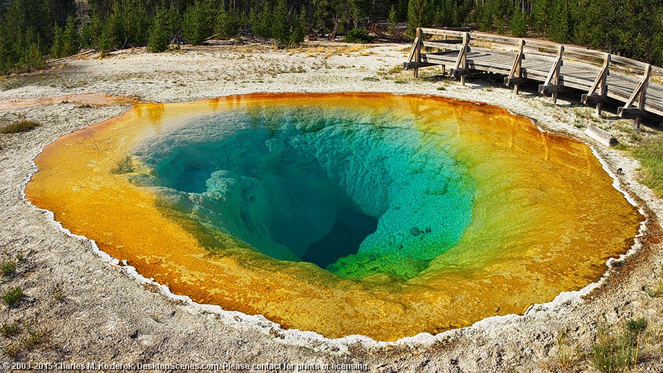 Morning Glory Pool 