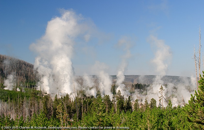 New Growth and Steam -- Norris Basin