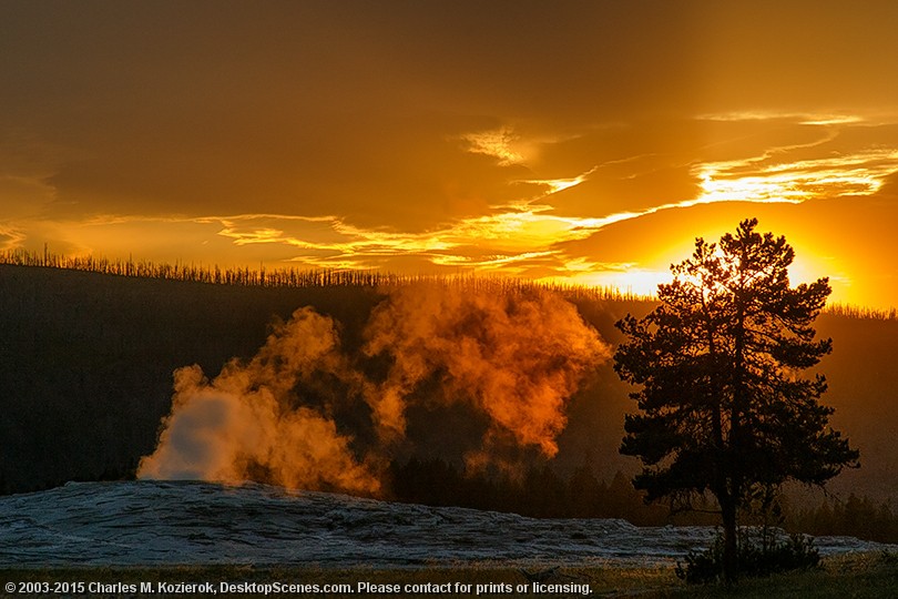 Old Faithful Ablaze 