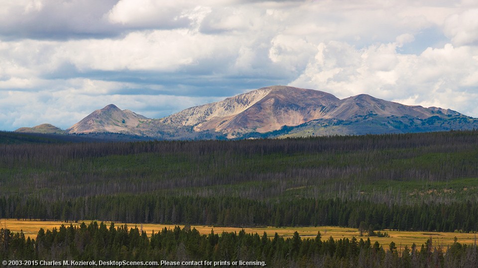 Purple Mountain's Majesty 