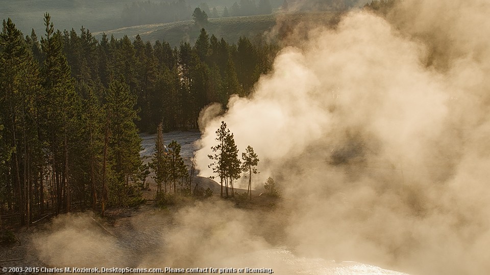 Sunlit Steambath 