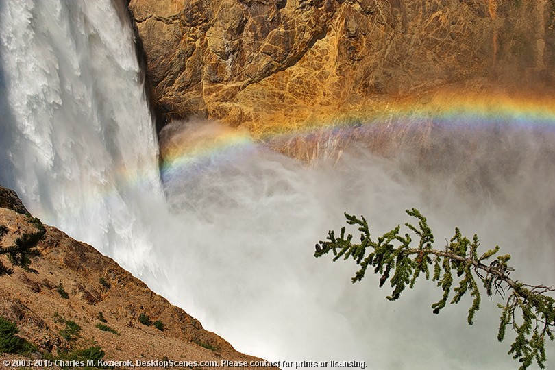 Yellowstone Lower Falls - Curves and Colors