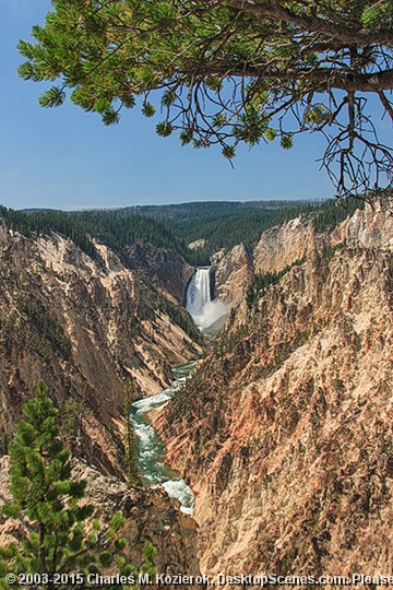 Yellowstone Lower Falls from Artist Point