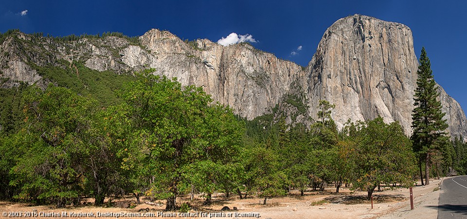 The Valley Floor 