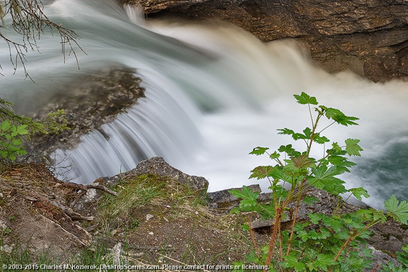 Johnston Canyon Flow 