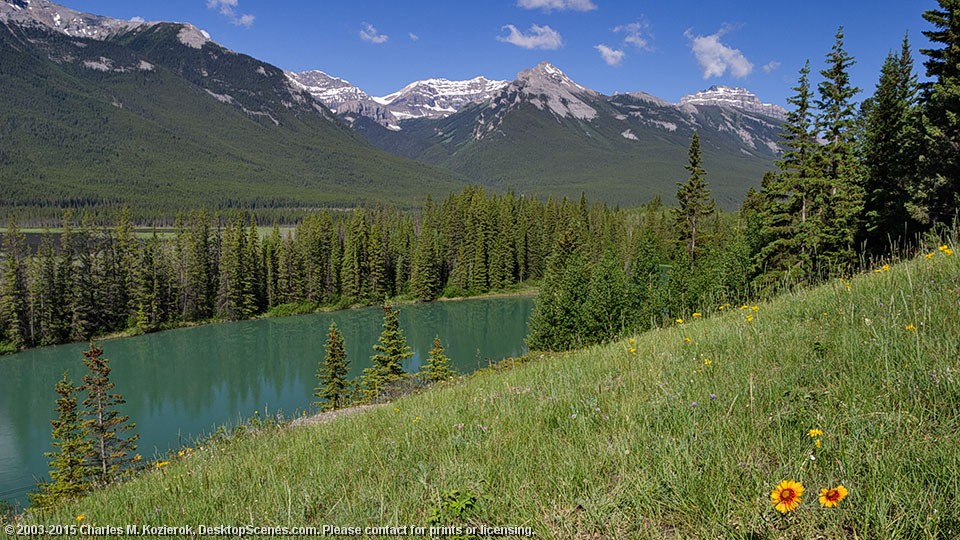 The Bow River