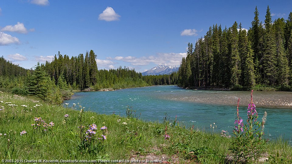 Bow River Flats 