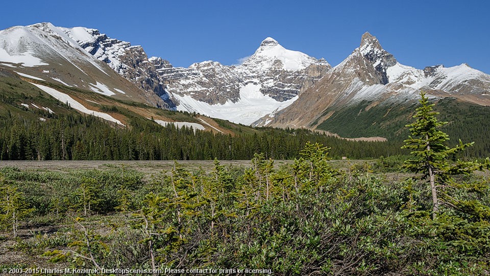 Fresh Snow in Mid-July 