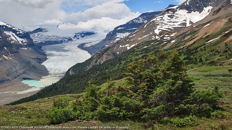 Saskatchewan Glacier