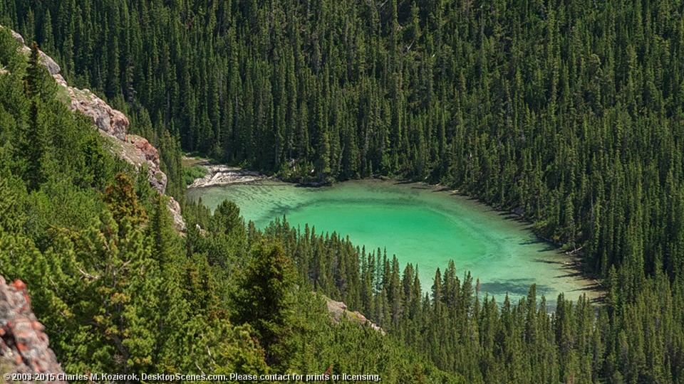 Shades of Green 