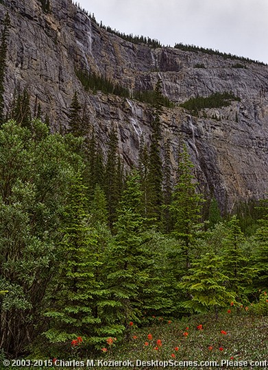 The Weeping Wall 