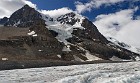 Columbia Icefield Region