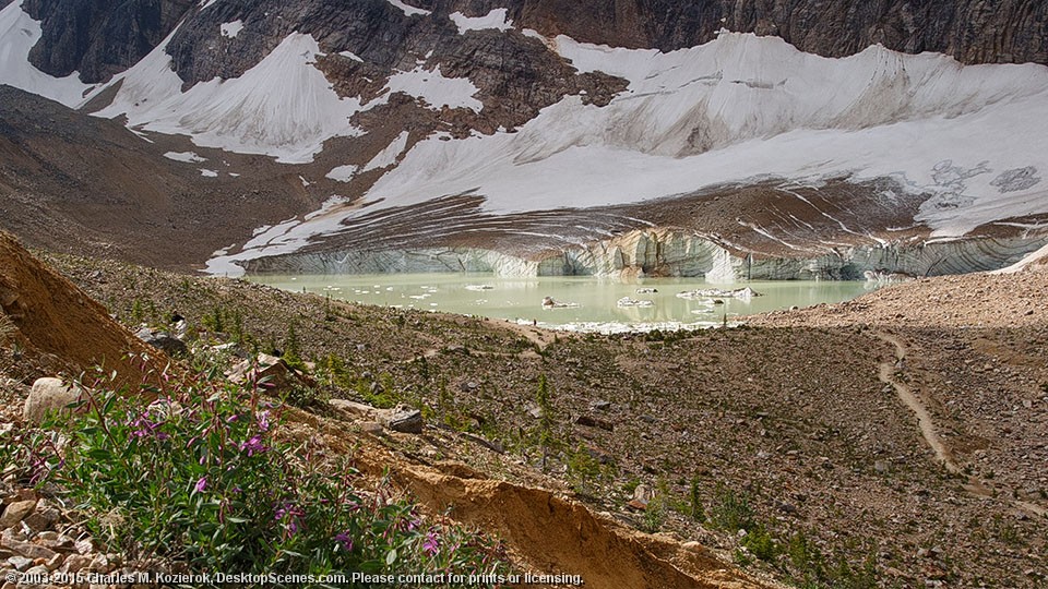 Approaching Cavell Glacier 