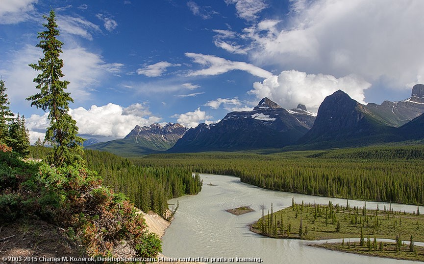 Athabasca Lookout 