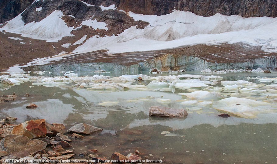 Cavell Icebergs 