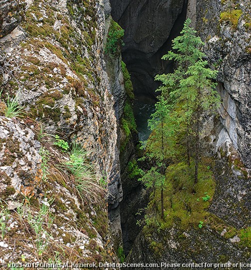 Maligne Canyon 