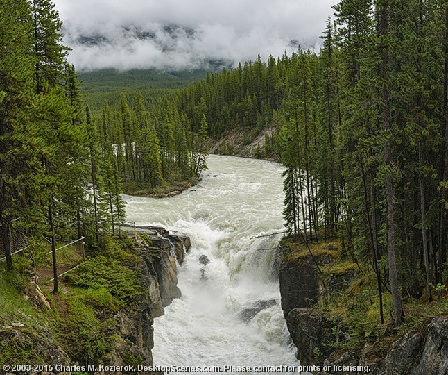 Sunwapta Falls 