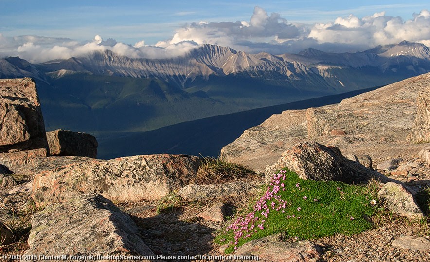 Whistlers Peak 