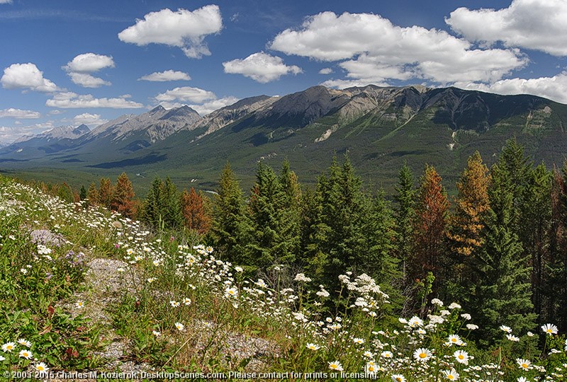 Kootenay Valley 