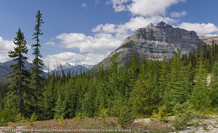 Mount Whymper from Vermillion Pass 