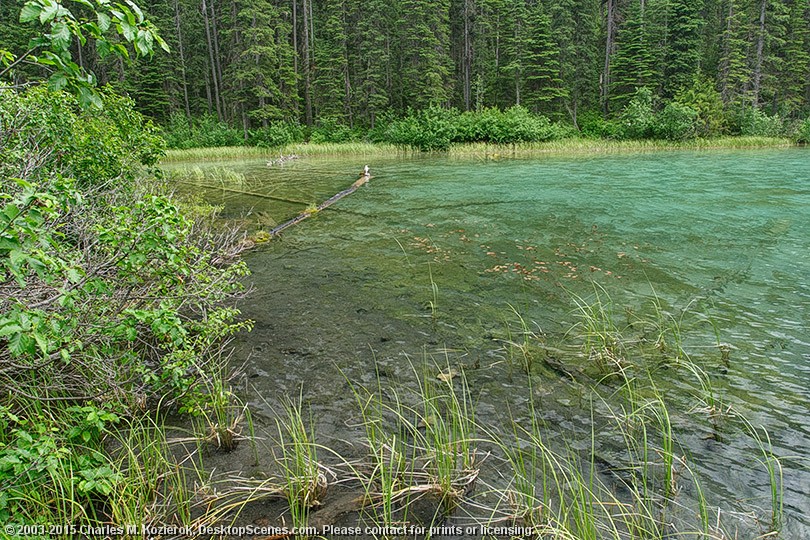 Olive Lake 