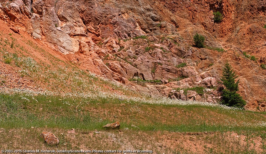 Red Rock Canyon Walls 