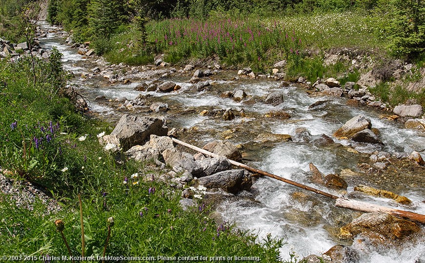 Sinclair Creek 