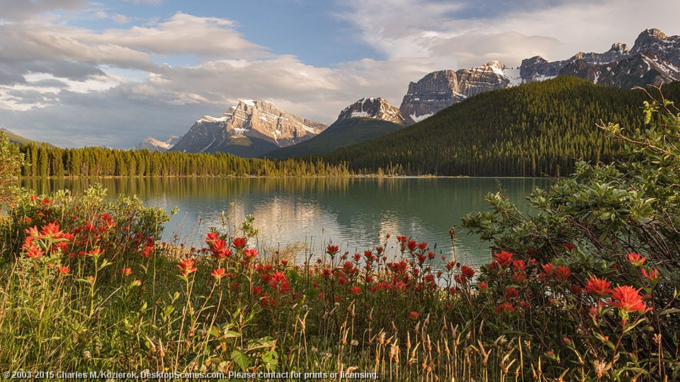 Beautiful Evening at Upper Waterfowl Lake 