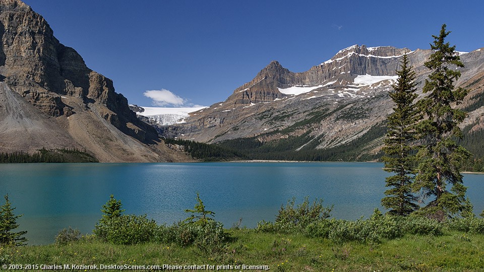 Bow Lake and Glacier 