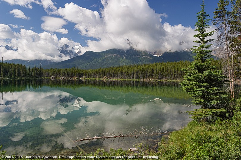 Herbert Lake Reflections 