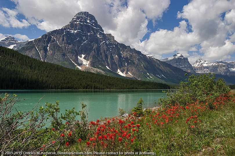 Majestic Mount Chephren 