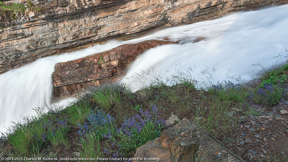 Blue Cascade 