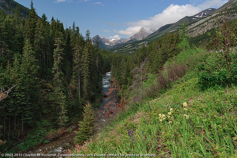 Cameron Creek 