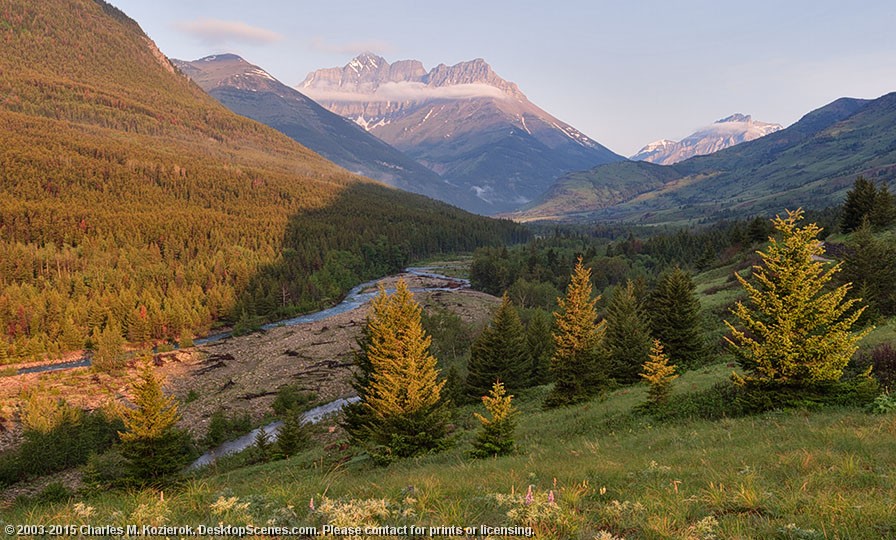 Cameron Creek Valley 