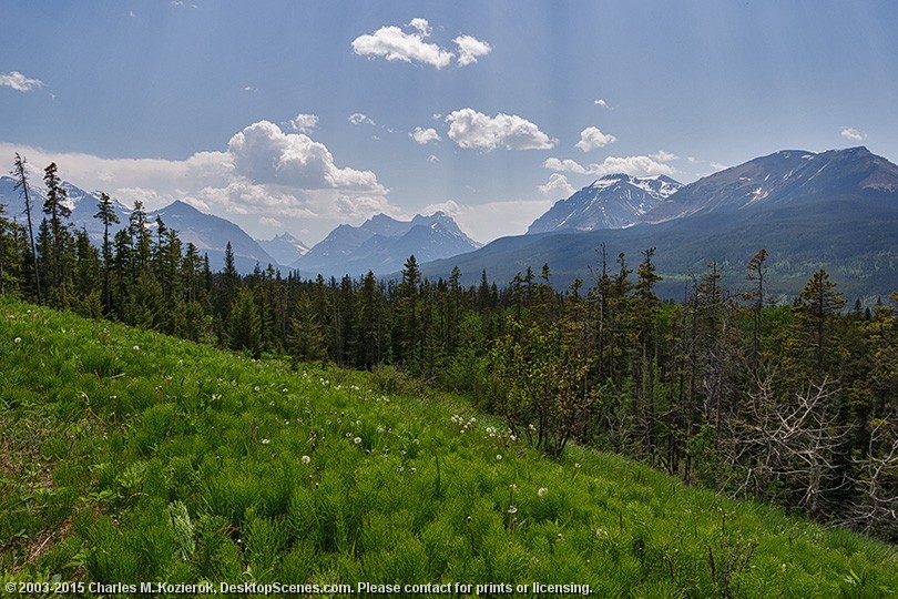 Hazy Waterton Park