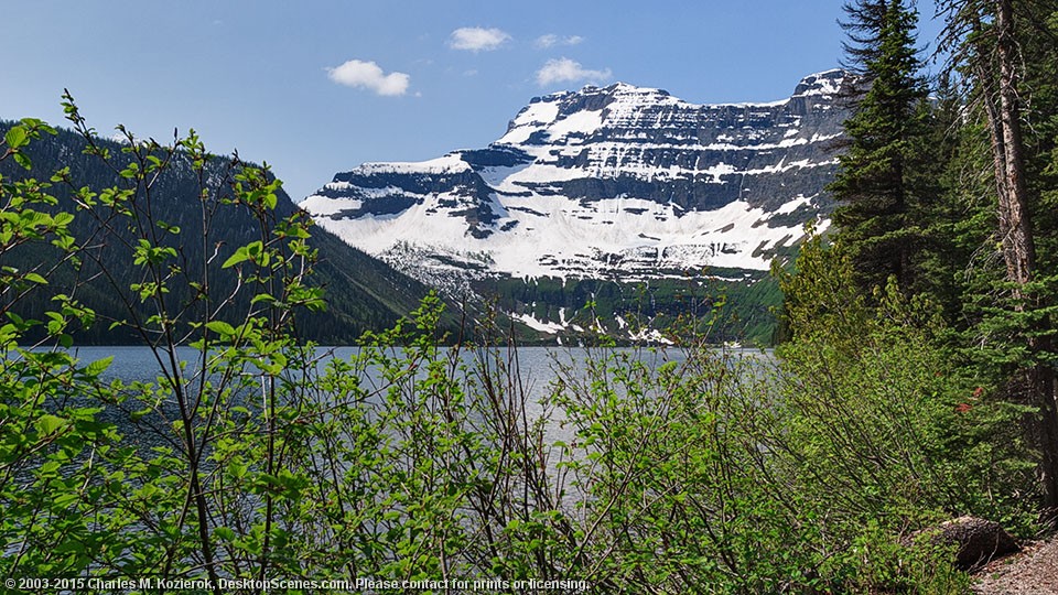 Still Spring, Cameron Lake 