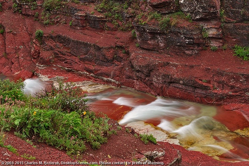 Vivid Red