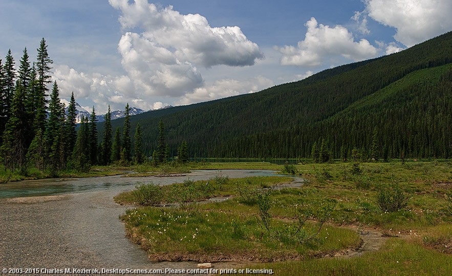 The Alluvial Fan 