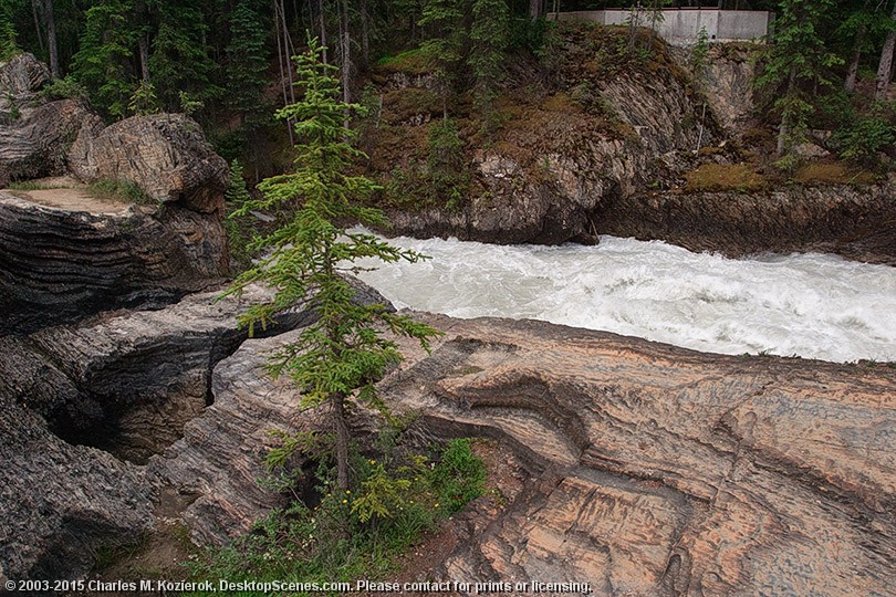 Watch Out for the Kicking Horse 