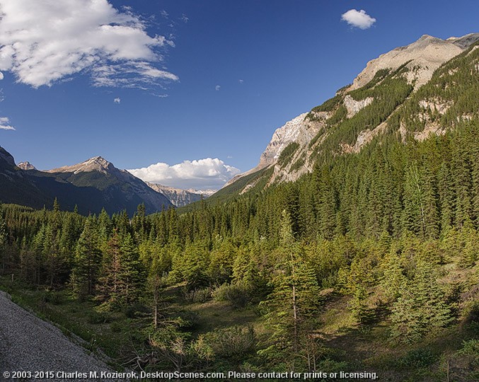 Yoho Valley 