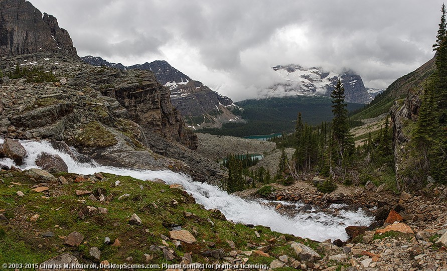 Oesa Basin Splendor 