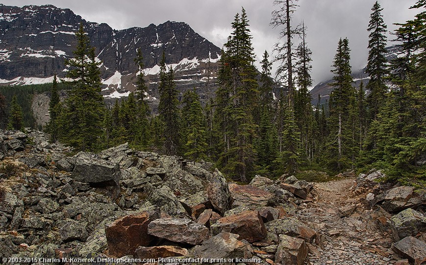 Rocky Path 