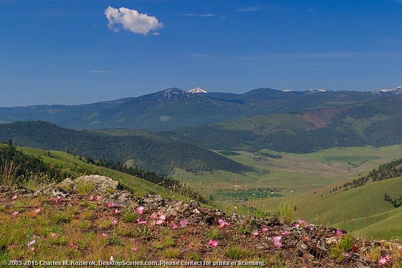 Bitterroot Montana View 