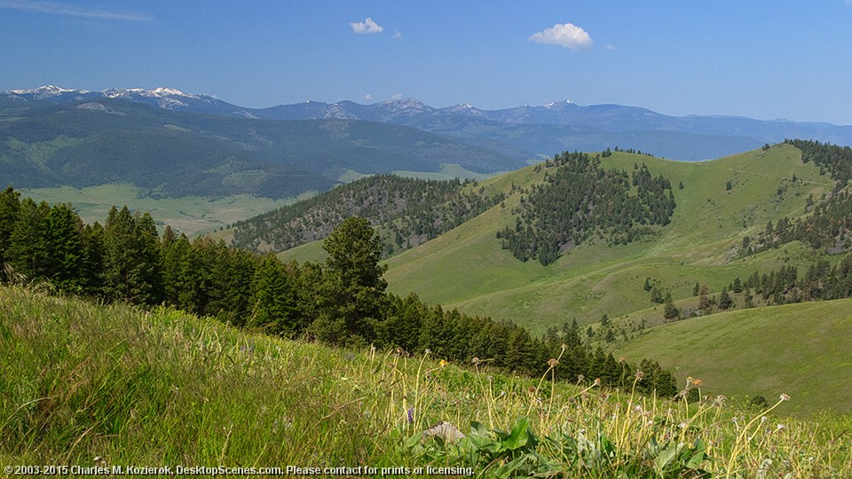 Diagonals, Hills and Mountains 